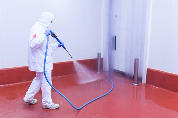 Best Driveway Pressure Washing  in Casa Grande, AZ